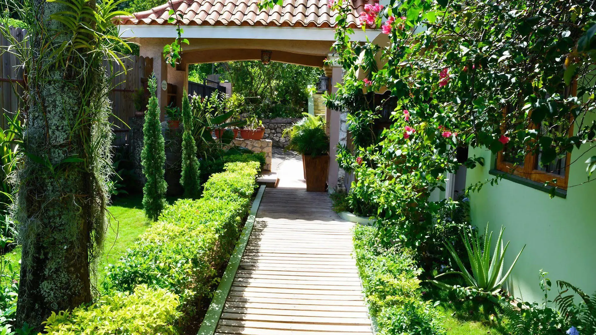 Mynt Retreat Bed & Breakfast Montego Bay